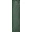 5900199263901 TUBĄDZIN Masovia Verde A Gloss STR Płytka Ścienna Połysk 7,8x29,8 10x30 PS-01-320-0298-0078-1-001
