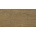 0000042243 Sklep płytki flizy terakota gresy STARGRES Goro Brown SGR64-1 Gres Mat. 30x60 imitacja drewna drewno joedełka