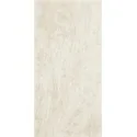 5902610504556 sklep płytki flizy glazura PARADYŻ Emilly Beige Ściana Mat. 30x60 S---300X600-1-EMIL.BE---2