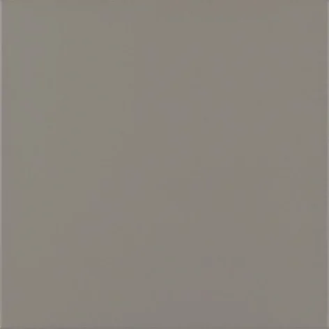 5900139075069 GRES TECHNICZNY TANI PARADYŻ Bazo Grys Gres Monokolor Mat. 30x30 imitacja betonu Q---300X300-1-BAZO.GRMO