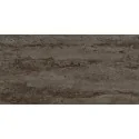 5900199270206 DOMINO (Tubądzin) Terrane Brown GLOSS Płytka Ścienna Połysk 30,8x60,8 PS-02-636-0308-0608-1-004