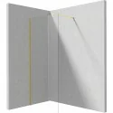 5907650840435 DEANTE Prizma Ścianka Prysznicowa Walk-in 80 cm Złoto + Szkło Transparentne KTJ_Z38P