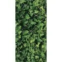 5902610551857 PARADYŻ Uniwersalne Inserto Szklane Dream Płytka Ścienna 30x60 IG--300X600-1-UNIW.DREA