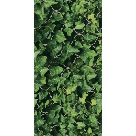 5902610551857 PARADYŻ Uniwersalne Inserto Szklane Dream Płytka Ścienna 30x60 IG--300X600-1-UNIW.DREA