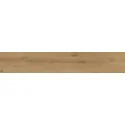 5901503225196 STARGRES Espoo Gold SGR53-1 Gres Rekt. Mat. 30x120 płytki flizy sklep drewnopodobne