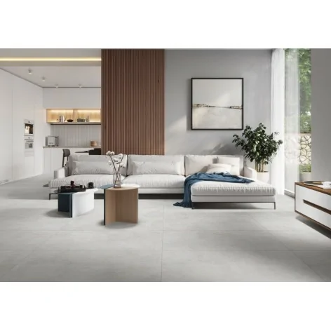 5903313347921 sklep płytki flizy terakota CERAMIKA GRES Diosa Light Grey Gres Rekt. Mat. 59,7x59,7 60x60
