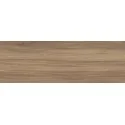 5902610579189 sklep płytki drewnopodobne PARADYŻ Lightmood Honey Gres Mat. 20x60 R---200X600-1-LIMO.HO