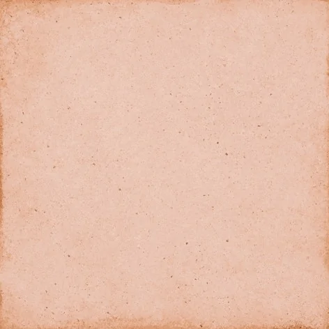 8435404928025 Sklep Płytki terakota EQUIPE Art Nouveau Coral Pink EQ 24388 Gres Mat. 20x20 G1