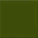 5900199277342 sklep płytki TUBĄDZIN Pastel Zielony Butelkowy Płytka Ścienna Mat. 20x20 PS-01-136-0200-0200-1-363