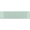 8435404955748 EQUIPE Costa Nova Aloe EQ 28443 Płytka Ścienna Błyszcząca 5x20 płytki cegiełki kafelki hiszpańskie