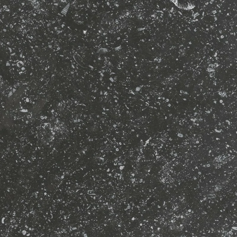 8435404921064 Sklep z płytkami Kafelki Hiszpańskie EQUIPE Coralstone Black EQ 23569 Gres Mat. 20x20 G1