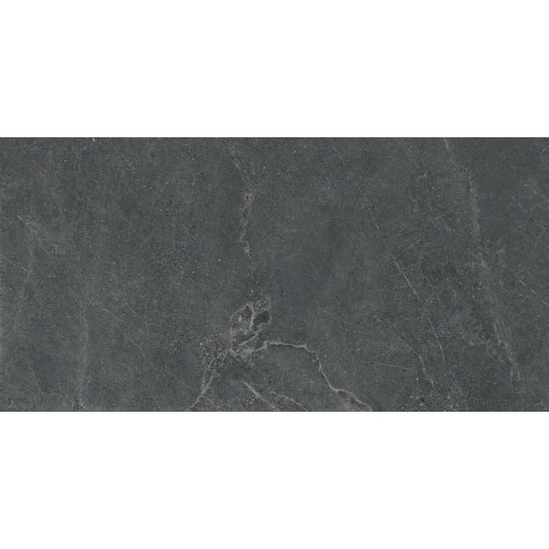 5903313346573 Sklep z Płytkami CERRAD Distinct Graphite Silky Cristal Gres Rekt. 59,7x119,7 60x120 Kamieniopodobne