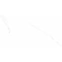5904754166089 Sklep Płytki marmurowe marmuropodobne Alaves White Gres Rekt. Mat. Carving 60x120 kamieniopodobne