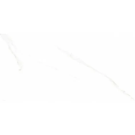 5904754166089 Sklep Płytki marmurowe marmuropodobne Alaves White Gres Rekt. Mat. Carving 60x120 kamieniopodobne