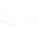 5904754166089 Sklep Płytki marmurowe marmuropodobne Alaves White Gres Rekt. Mat. Carving 60x120 kamieniopodobne