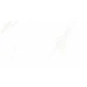 5904754166089 Sklep Płytki marmurowe marmuropodobne Alaves White Gres Rekt. Mat. Carving 60x120 kamieniopodobne