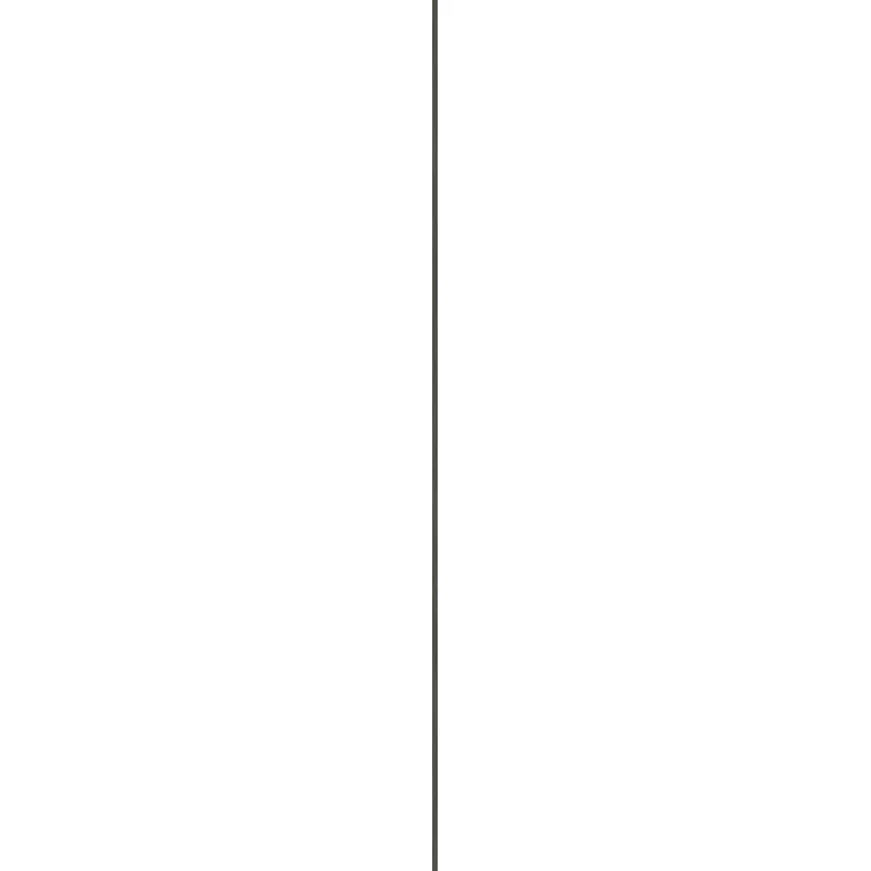 5903238072007 Sklep Płytki TUBĄDZIN Steel Line Graphite Listwa Stal Szczotkowana 8x119,8 120 cm LP-01-377-1198-0008-1-002