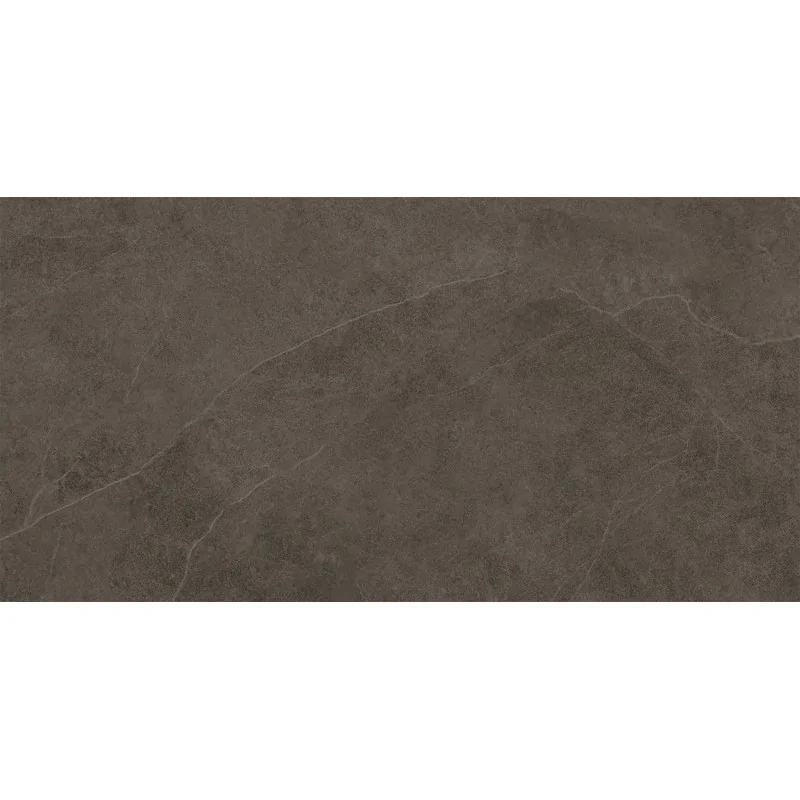 5900199286047 Płytki Łazienkowe Brązowe TUBĄDZIN (Domino) Linva Brown Płytka Ścienna Mat 30,8x60,8 PS-02-837-0308-0608-1-007