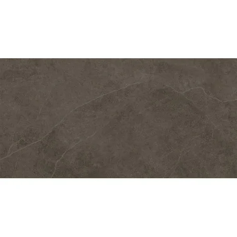 5900199286047 Płytki Łazienkowe Brązowe TUBĄDZIN (Domino) Linva Brown Płytka Ścienna Mat 30,8x60,8 PS-02-837-0308-0608-1-007