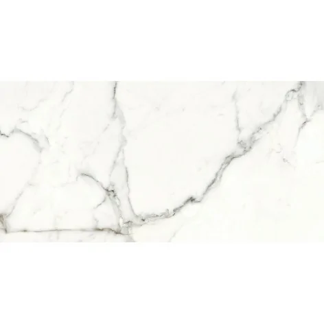 NT1335-001-1 OPOCZNO Calacatta Monet White Satin Rect 59,8x119,8 60x120 5901771073413 Płytki marmurowe biały marmur