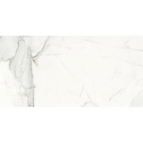 NT1335-001-1 OPOCZNO Calacatta Monet White Satin Rect 59,8x119,8 60x120 5901771073413 Płytki marmurowe biały marmur