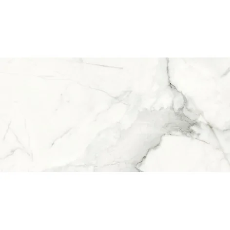 NT1335-001-1 OPOCZNO Calacatta Monet White Satin Rect 59,8x119,8 60x120 5901771073413 Płytki marmurowe biały marmur