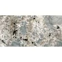 8429991246723 Kolorowe płytki gresowe rektyfikowane półpolerowane TAU Ceramica Austral Gray Gres Rekt. Polisoft 60x120