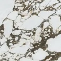 8433840243018 Sklep płytki wielkoformatowe XXL Calacatta Viola ARCANA Odilon-R Gres Rekt Mat. 120x120 Breccia Vagli marmur
