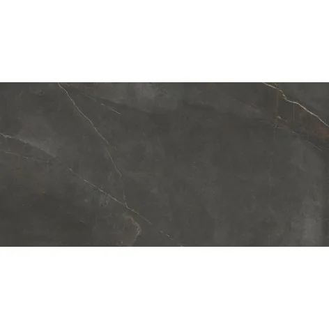 ARGENTA Emerita Dark RC 60x120 Gat I