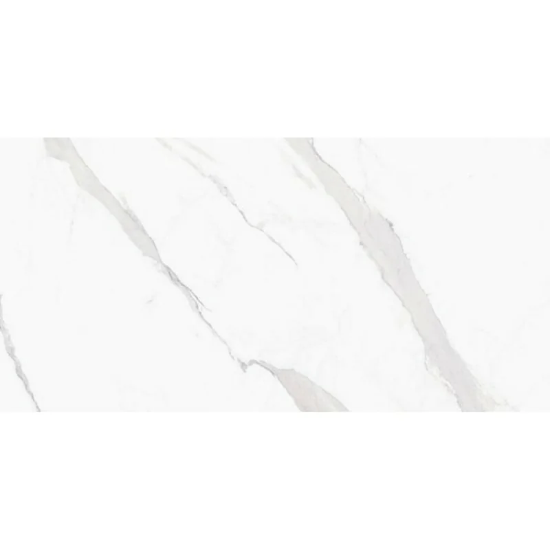 ALAPLANA Pune Blanco Mate 60x120 G1