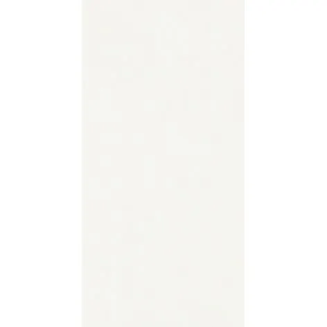 COLOR WHITE MAT (BIAŁA MATOWA) CCR32-1 30x60 G.2