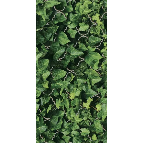 5902610551857 PARADYŻ Uniwersalne Inserto Szklane Dream Płytka Ścienna 30x60 IG--300X600-1-UNIW.DREA