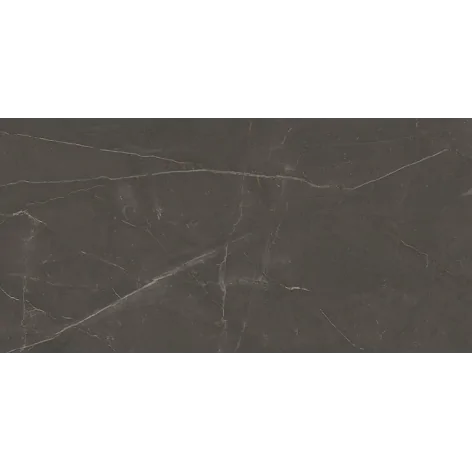 5904584149696 PARADYŻ Linearstone Brown Gres Szkl. Rekt. Mat. 59,8x119,8 60x120 R-R-0,6X1,2-1-LINE.BR