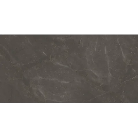 5904584149696 PARADYŻ Linearstone Brown Gres Szkl. Rekt. Mat. 59,8x119,8 60x120 R-R-0,6X1,2-1-LINE.BR