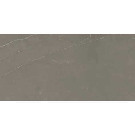 5904584149726 PARADYŻ Linearstone Taupe Gres Szkl. Rekt. Mat. 59,8x119,8 60x120 R-R-0,6X1,2-1-LINE.TA