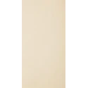 PARADYŻ Arkesia Bianco Gres Poler 29,8x59,8 G1