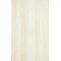 S---250X400-1-SARI.BE PARADYŻ Sari Beige Ściana Połysk 25x40 5900139096705