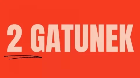 Czy warto kupować płytki 2 gatunku? Co oznacza drugi gatunek płytek? Wady i zalety płytek w drugim gatunku
