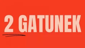 Czy warto kupować płytki 2 gatunku? Co oznacza drugi gatunek płytek? Wady i zalety płytek w drugim gatunku