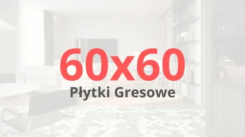 Płytki Gresowe 60x60