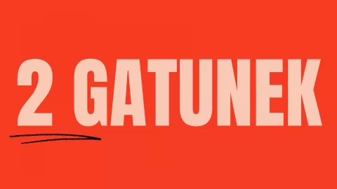 Płytki w Drugim Gatunku - 2 Gatunek - Tanie Płytki Outlet