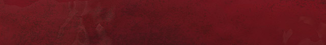 721409309.thumbnail.jpeg
